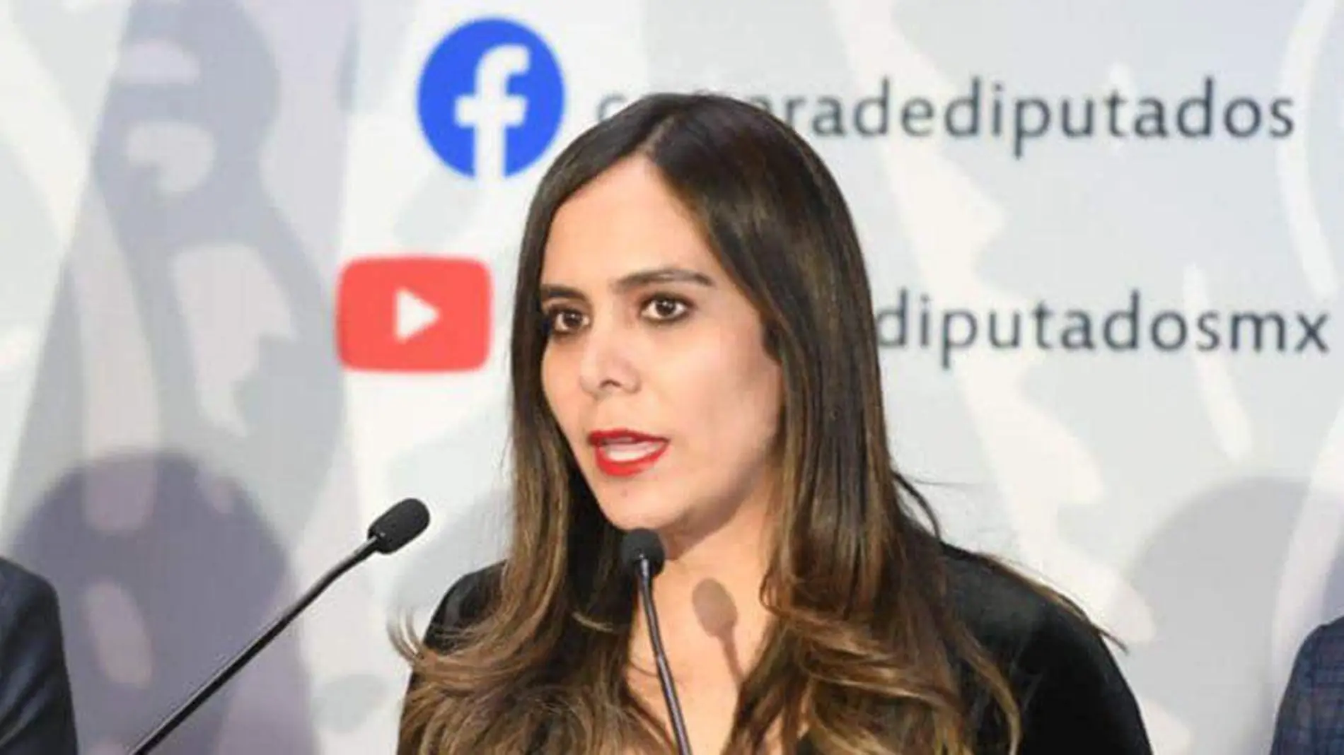 Carolina Beauregard Martínez, diputada federal por el PAN